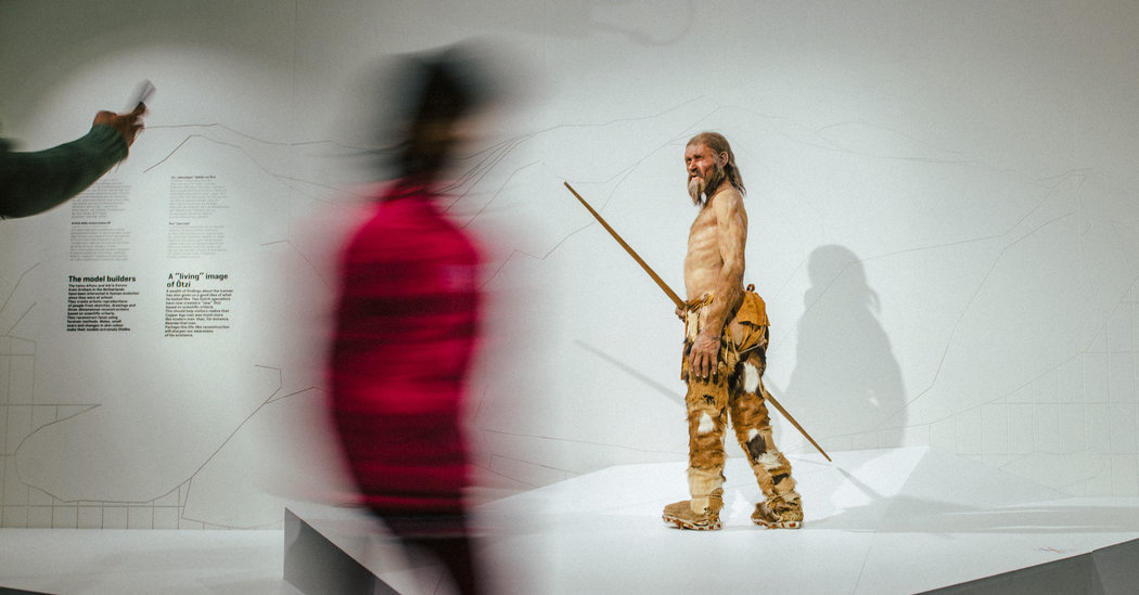 Museum of archaeology